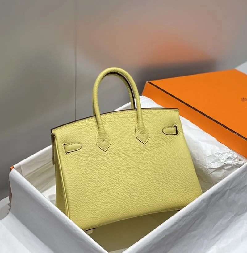 Trendsetting Hermes Birkin Bags 48952
