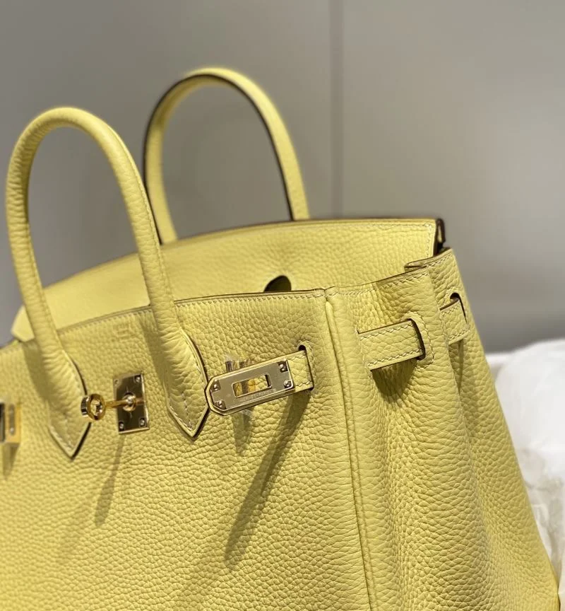 Trendsetting Hermes Birkin Bags 48952