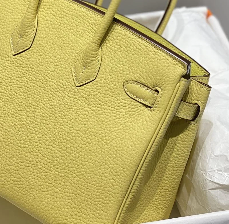 Trendsetting Hermes Birkin Bags 48952