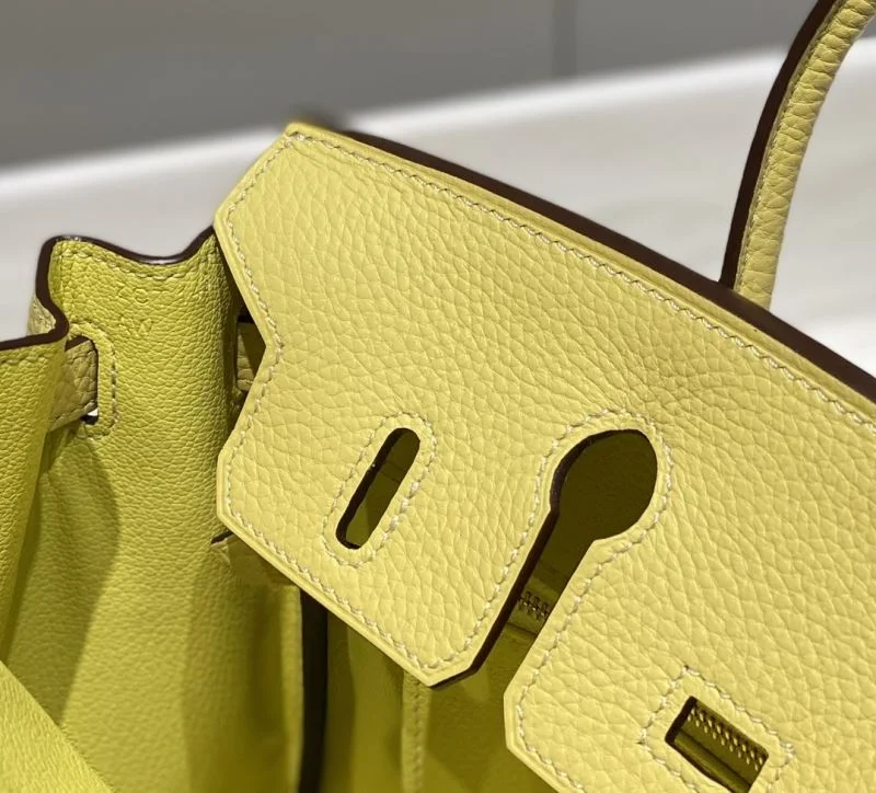 Trendsetting Hermes Birkin Bags 48952