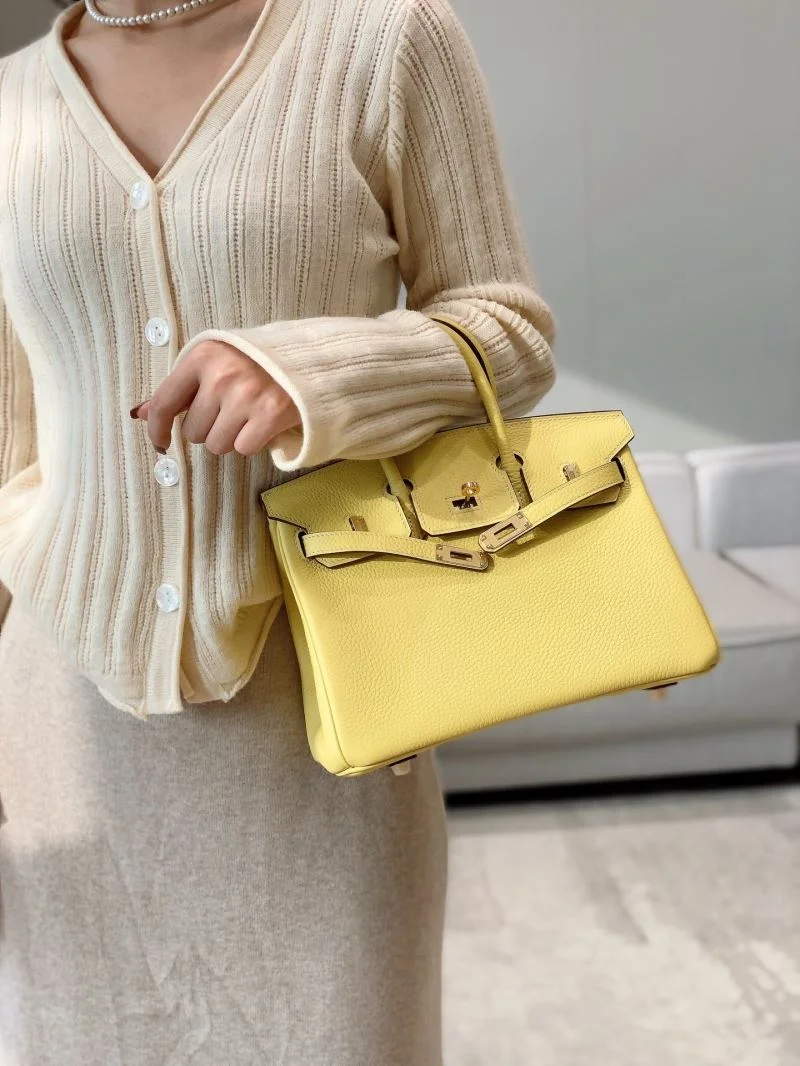 Trendsetting Hermes Birkin Bags 48952