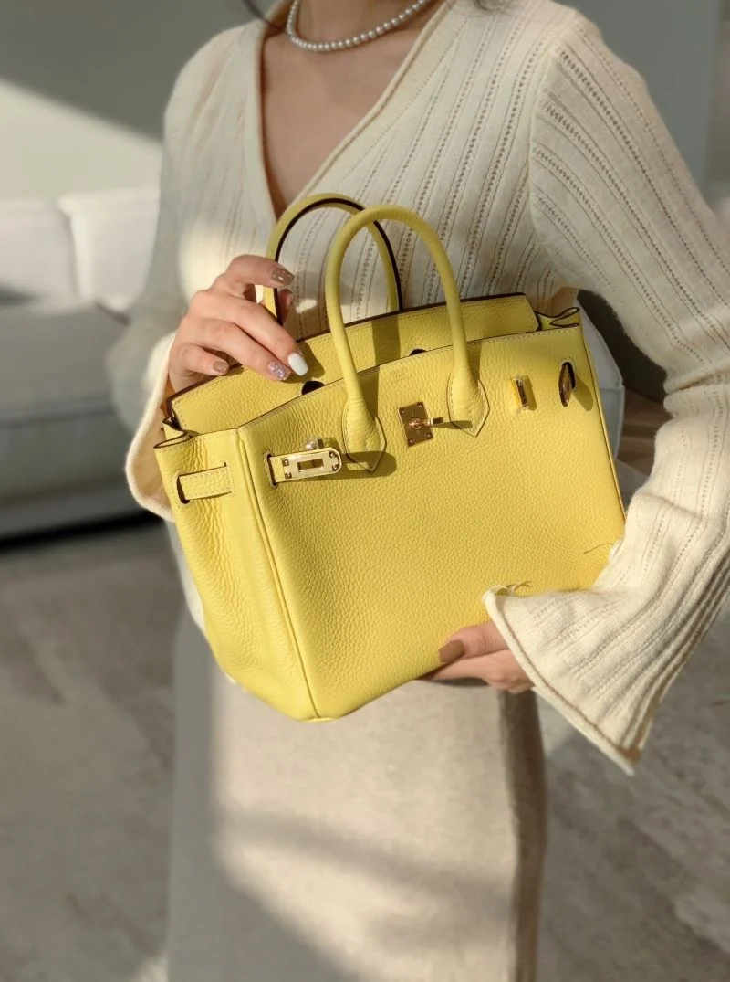 Trendsetting Hermes Birkin Bags 48952