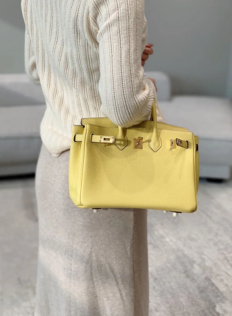Trendsetting Hermes Birkin Bags 48952