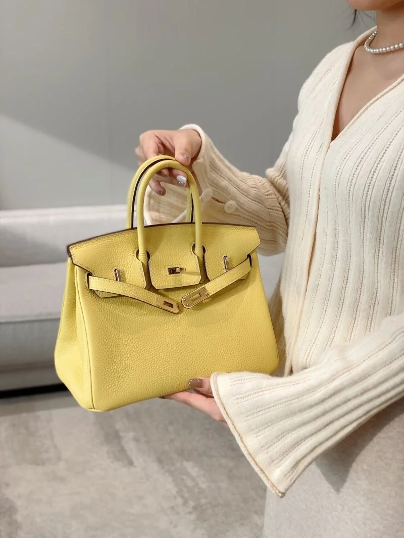 Trendsetting Hermes Birkin Bags 48952