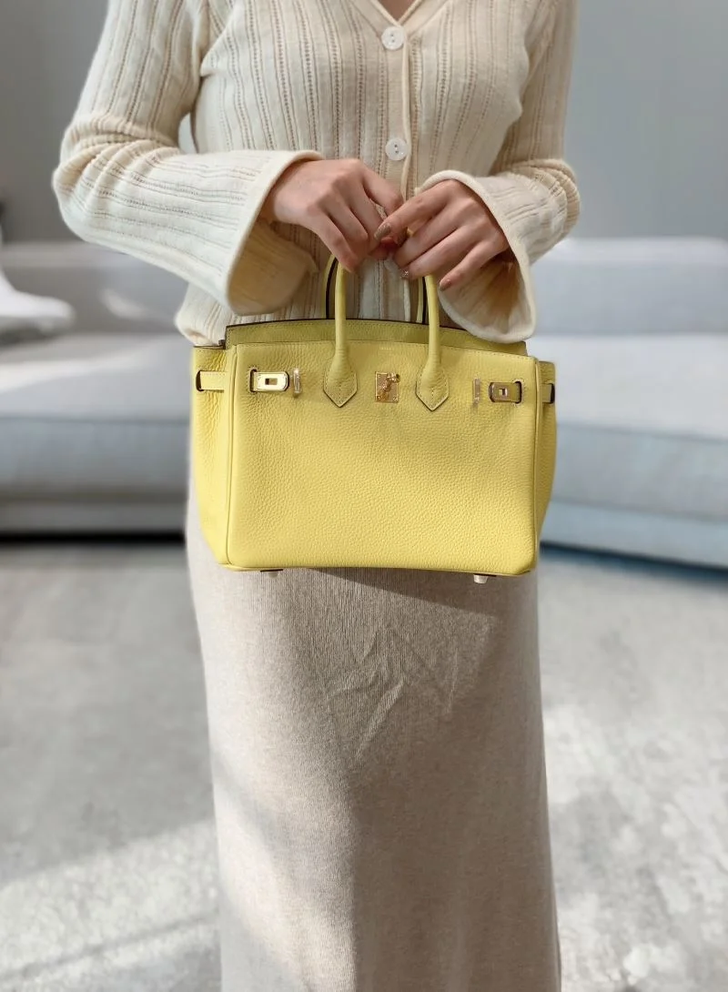 Trendsetting Hermes Birkin Bags 48952