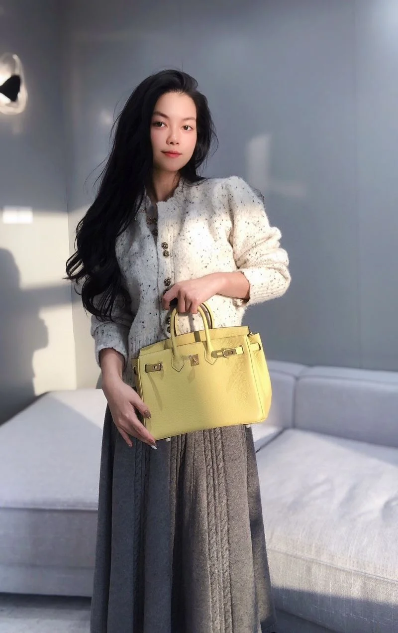 Trendsetting Hermes Birkin Bags 48952