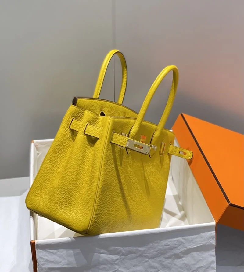 Hermes Birkin Bags SmartChoice 48956