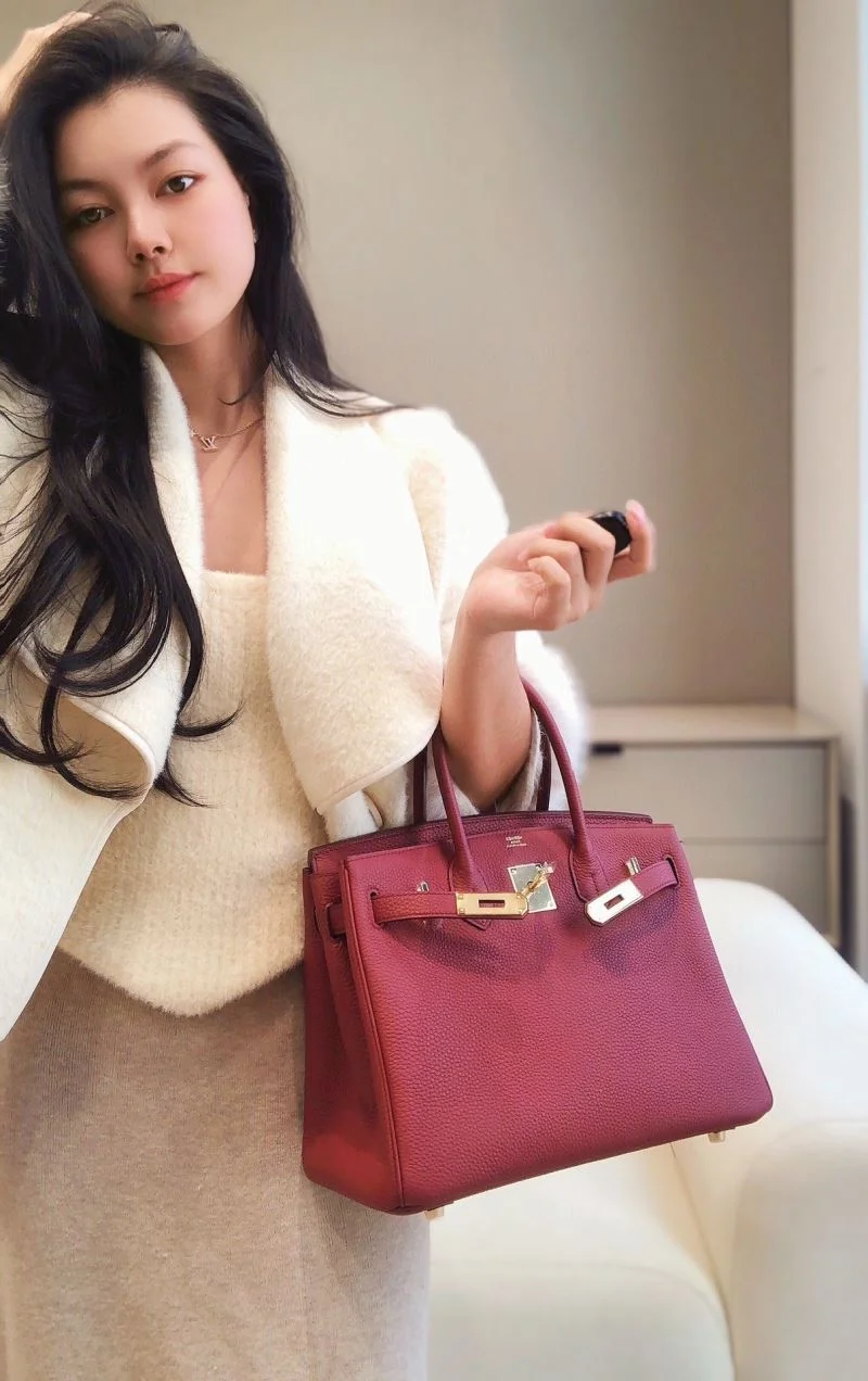 Hermes Birkin Bags Functional 48943
