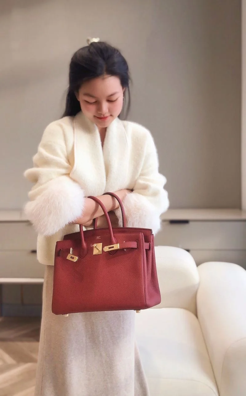 Hermes Birkin Bags Functional 48943