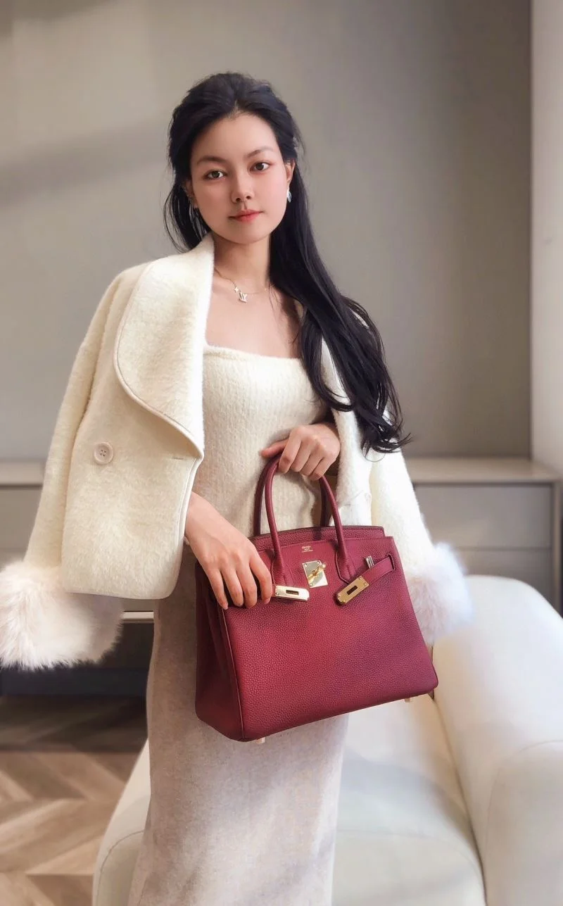 Hermes Birkin Bags Functional 48943
