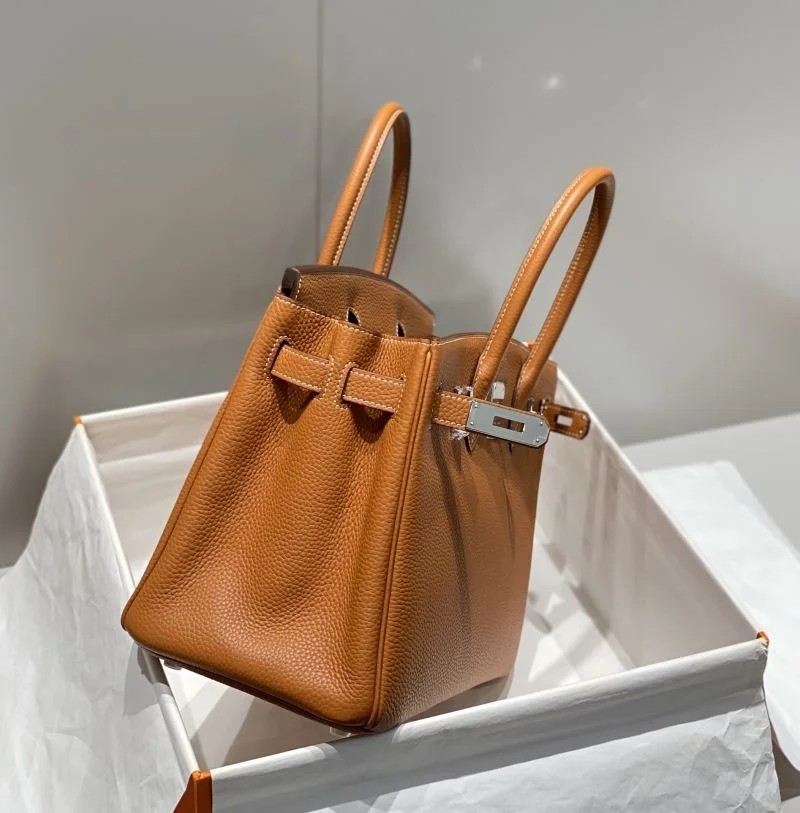 Chic Hermes Birkin Bags 48931