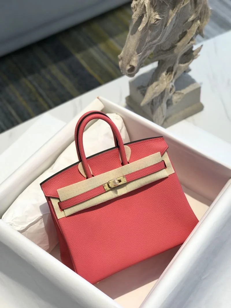 Hermes Birkin Bags EasyCare 48925