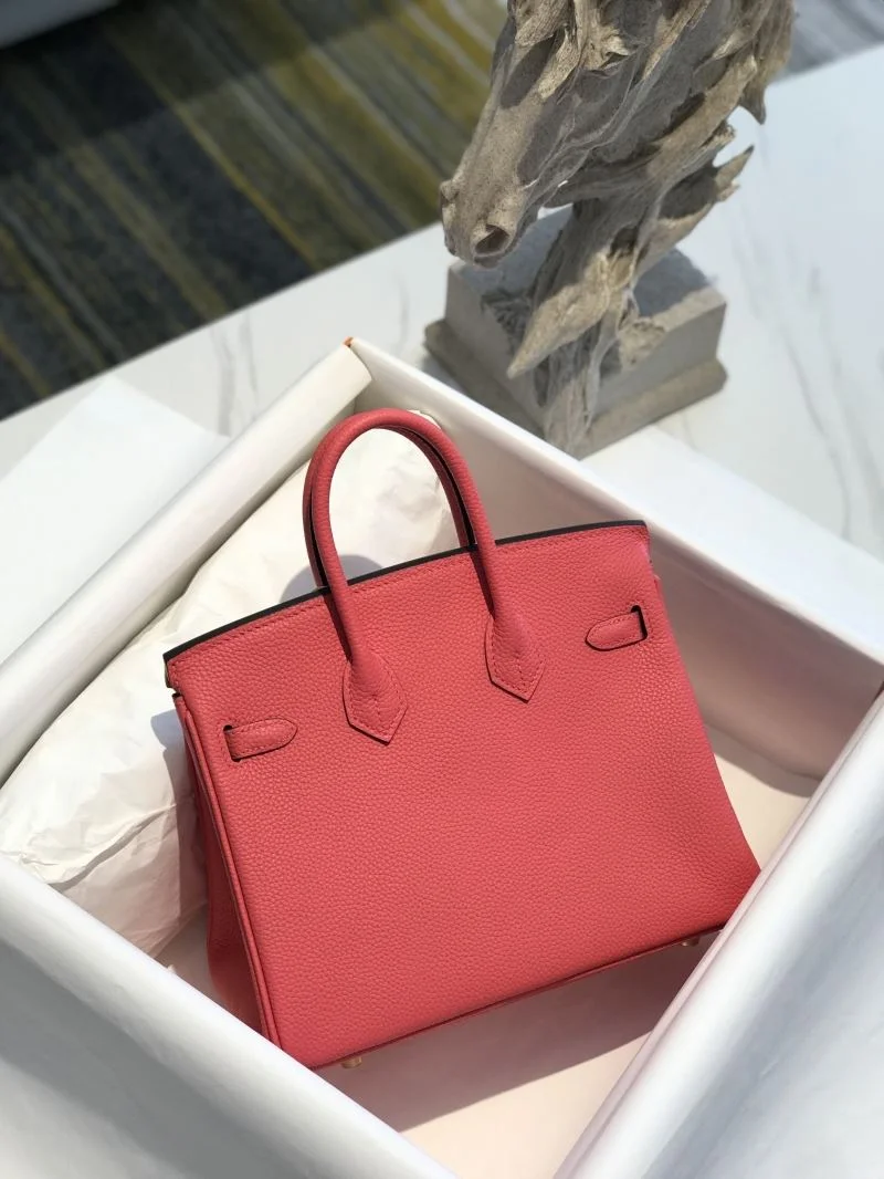 Hermes Birkin Bags EasyCare 48925