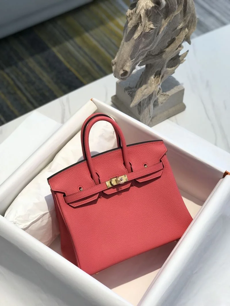 Hermes Birkin Bags EasyCare 48925