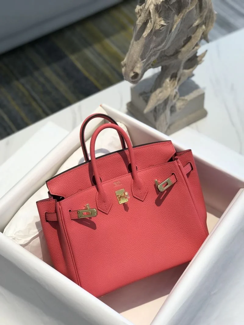 Hermes Birkin Bags EasyCare 48925