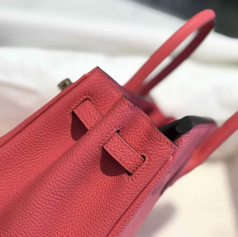 Hermes Birkin Bags EasyCare 48925