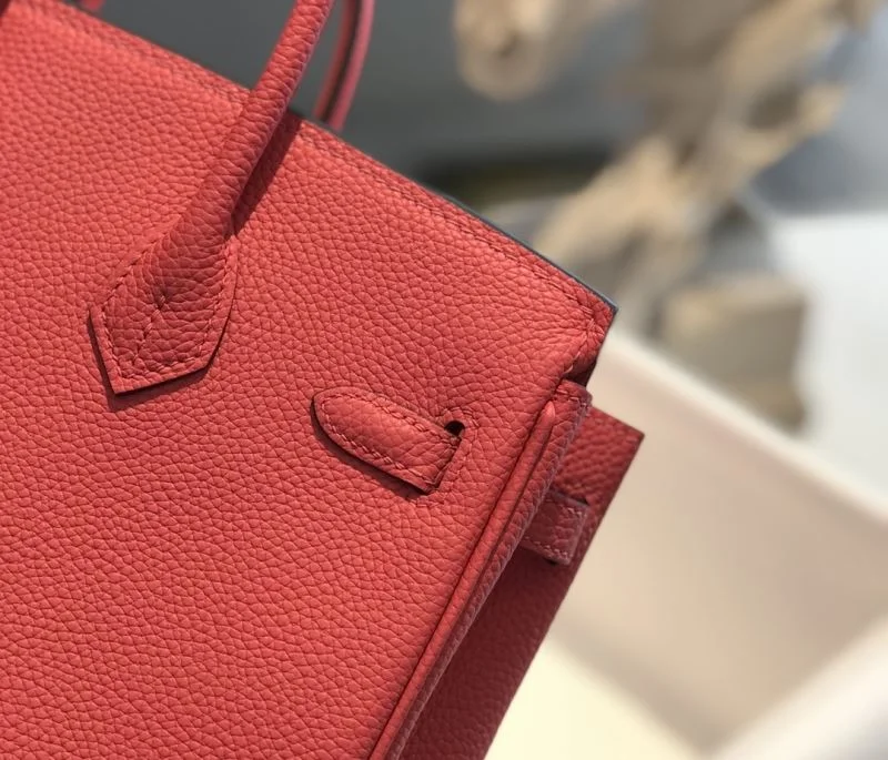 Hermes Birkin Bags EasyCare 48925