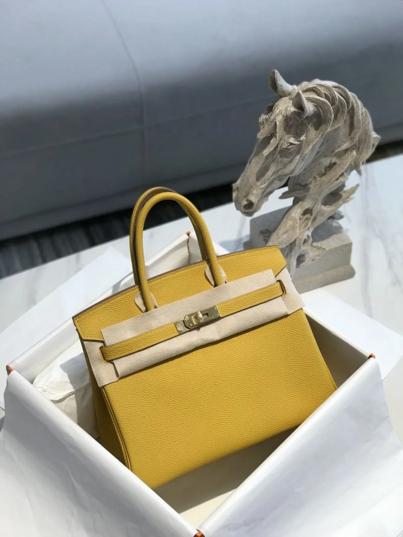 WaterResistant Hermes Birkin Bags 48923