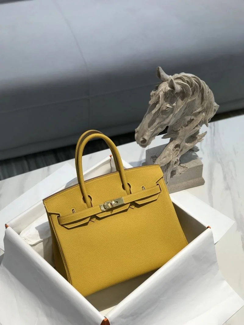 WaterResistant Hermes Birkin Bags 48923