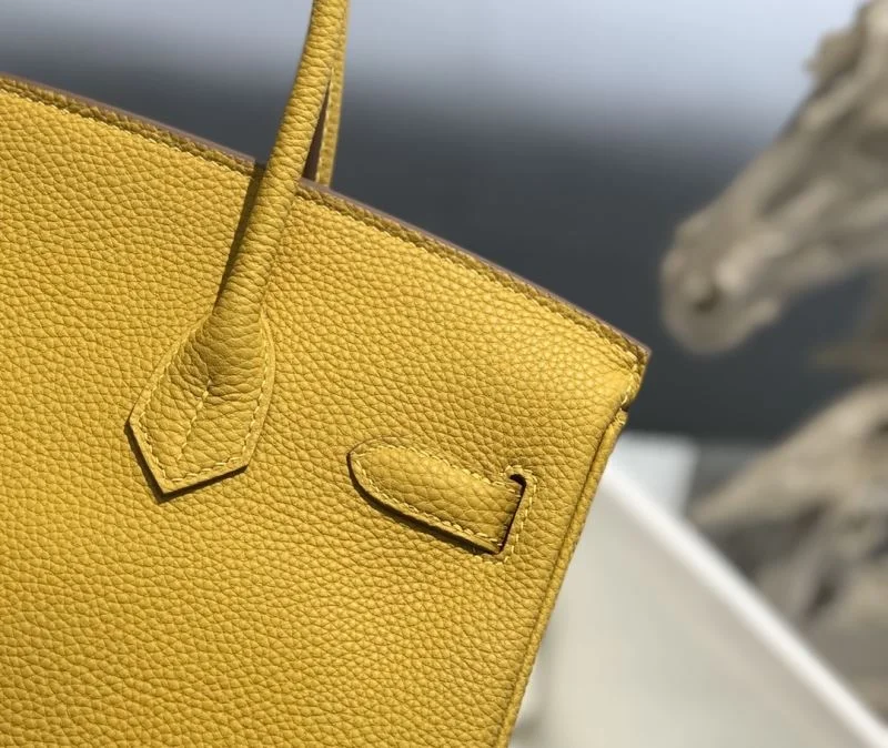 WaterResistant Hermes Birkin Bags 48923