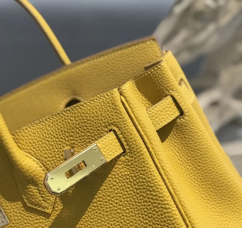 WaterResistant Hermes Birkin Bags 48923