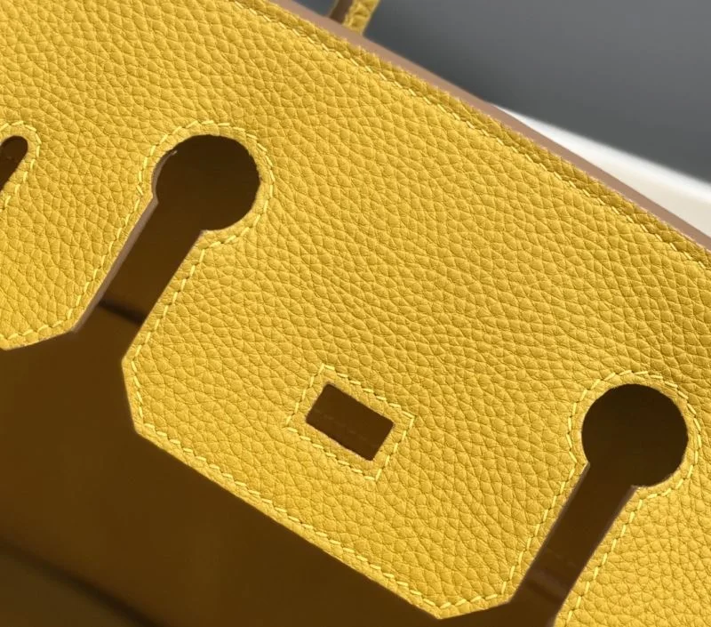WaterResistant Hermes Birkin Bags 48923