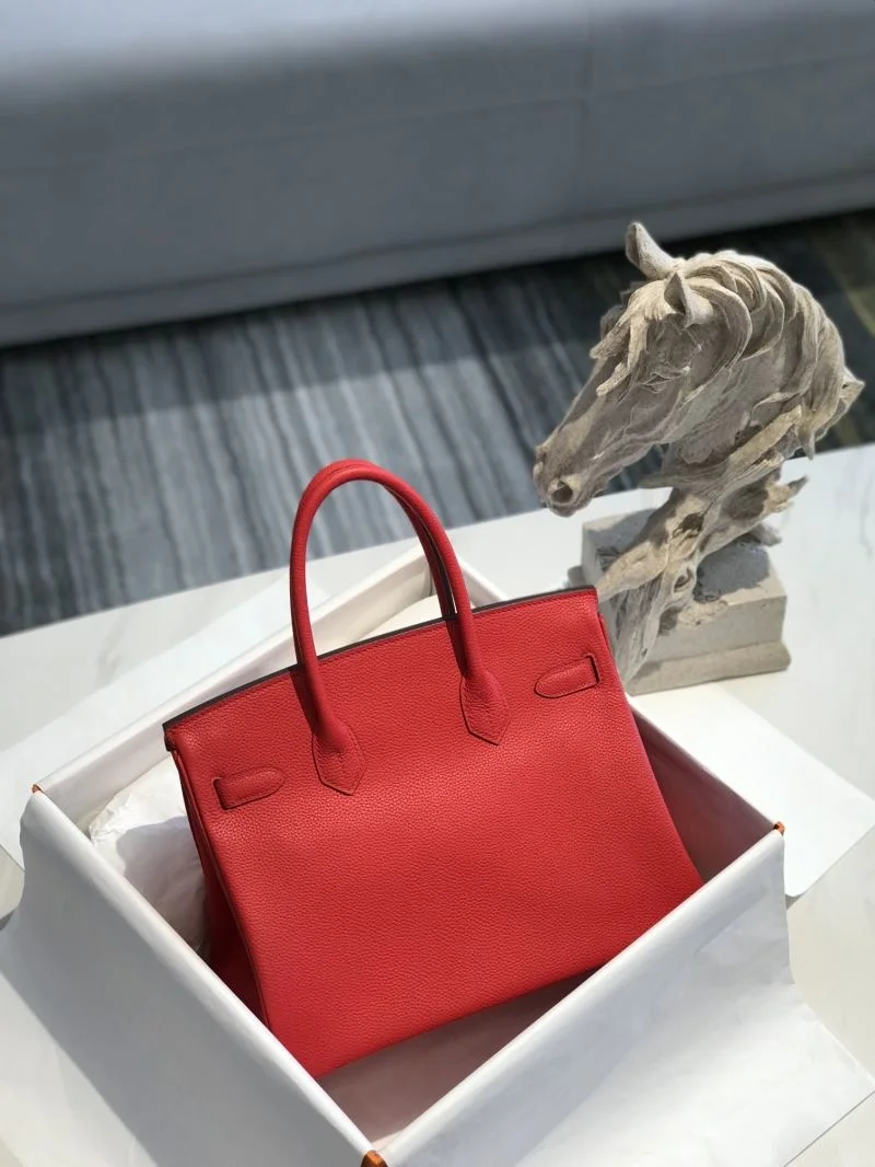 Hermes Birkin Bags Fashionable 48953