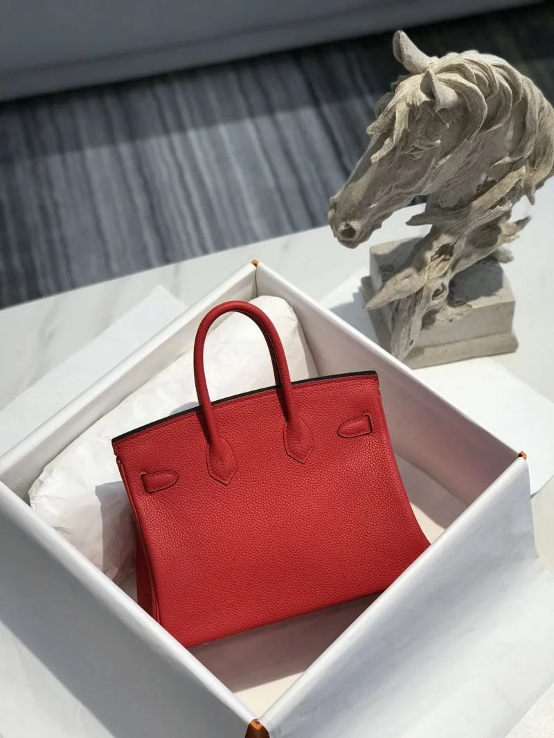 Minimalist Hermes Birkin Bags 48920