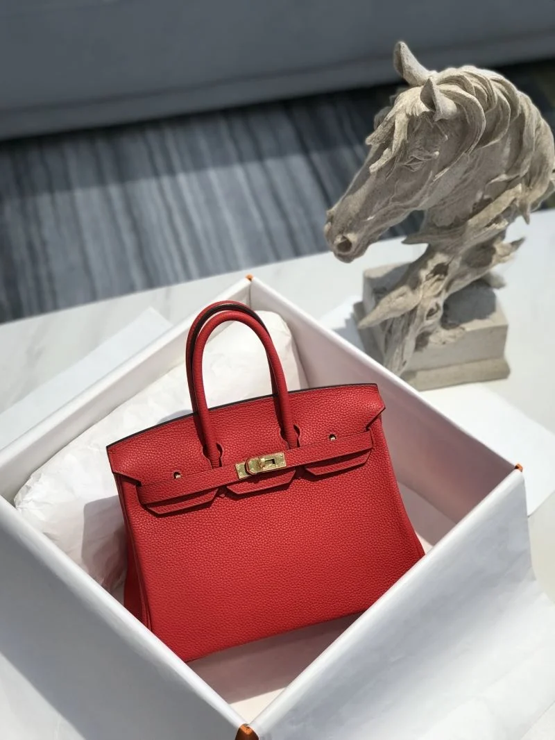 Minimalist Hermes Birkin Bags 48920