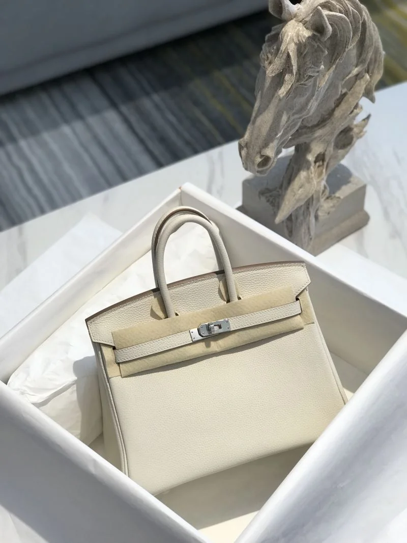 DailyWear Hermes Birkin Bags 48941