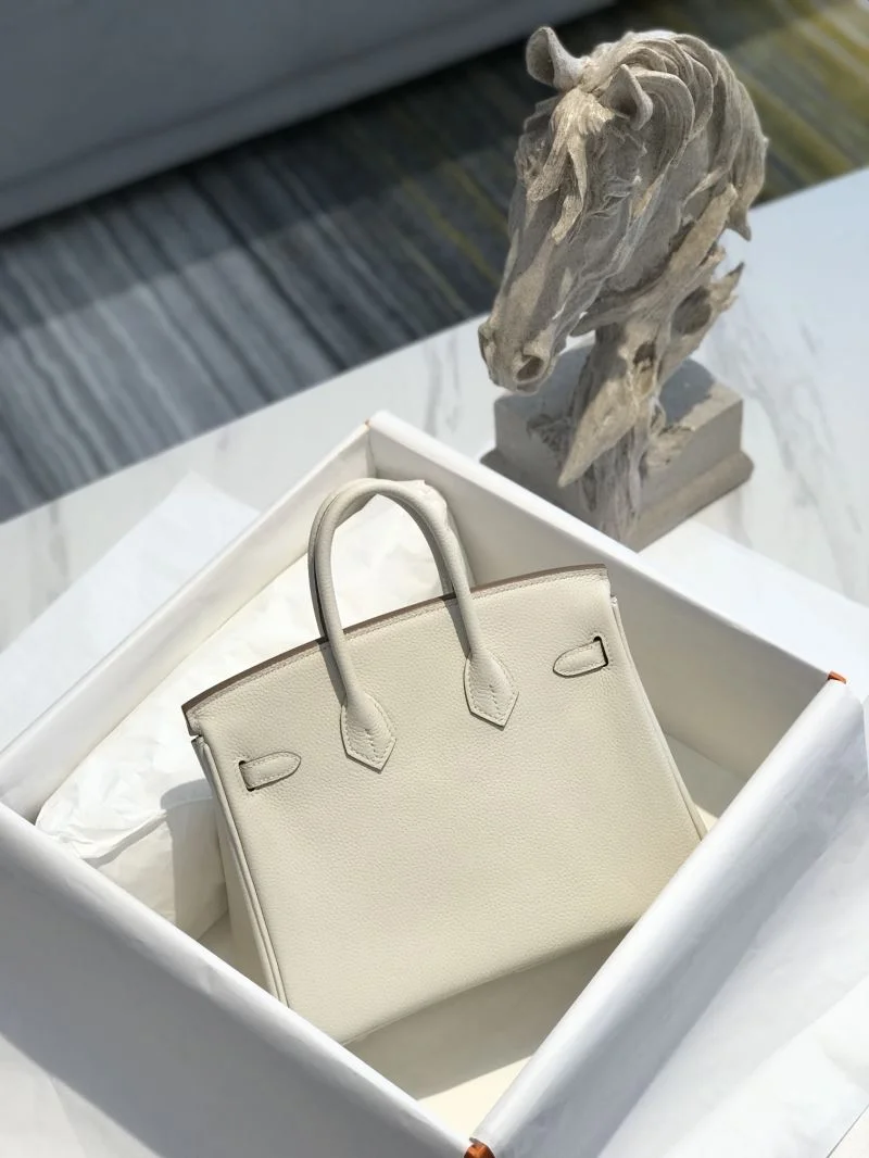 DailyWear Hermes Birkin Bags 48941
