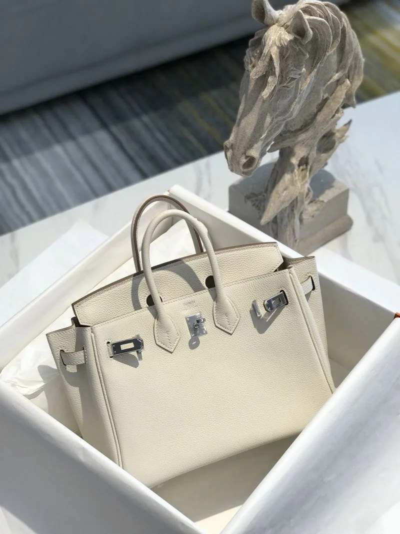 DailyWear Hermes Birkin Bags 48941