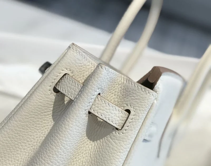 DailyWear Hermes Birkin Bags 48941