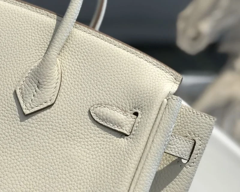 DailyWear Hermes Birkin Bags 48941
