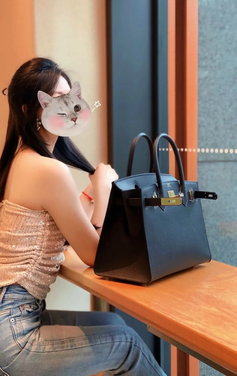 Hermes Birkin Bags Efficient 48532