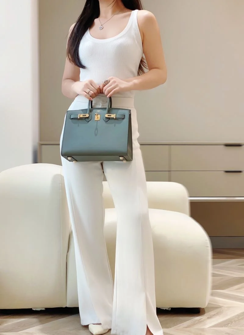 GoAnywhere Hermes Birkin Bags 48529