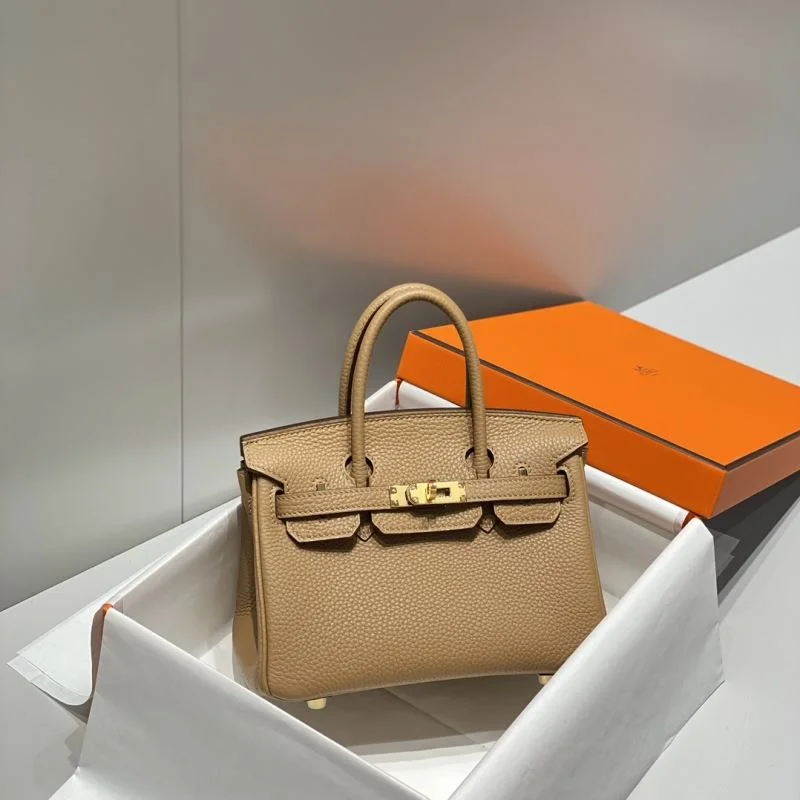 Trendsetting Hermes Birkin Bags 48499