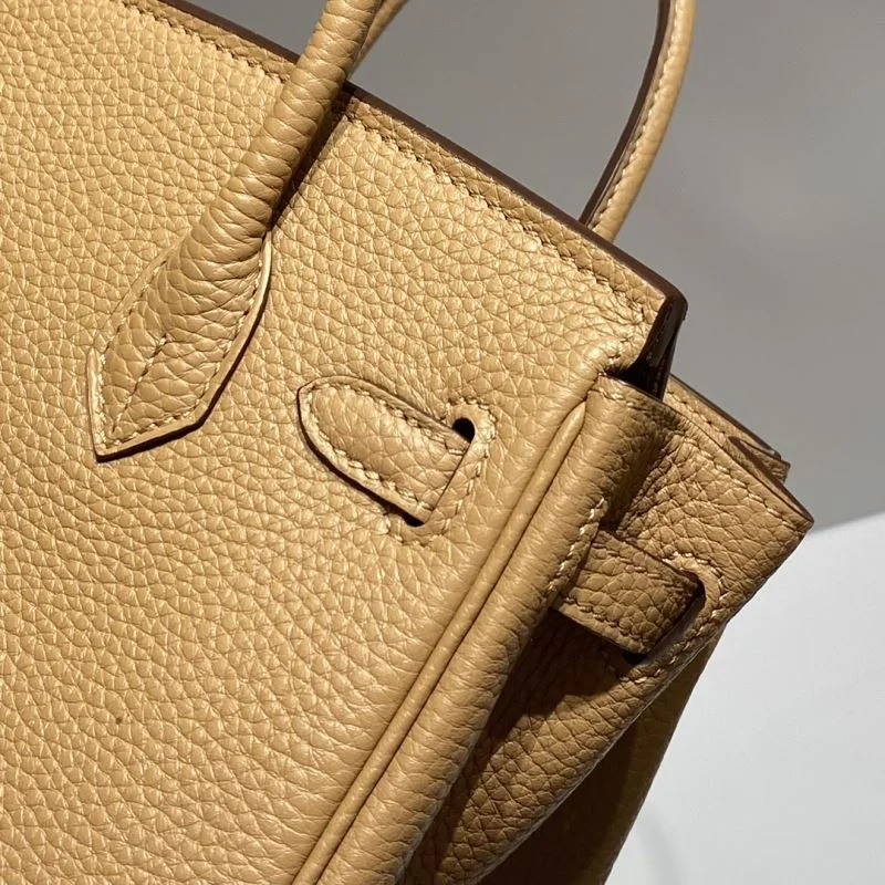Trendsetting Hermes Birkin Bags 48499