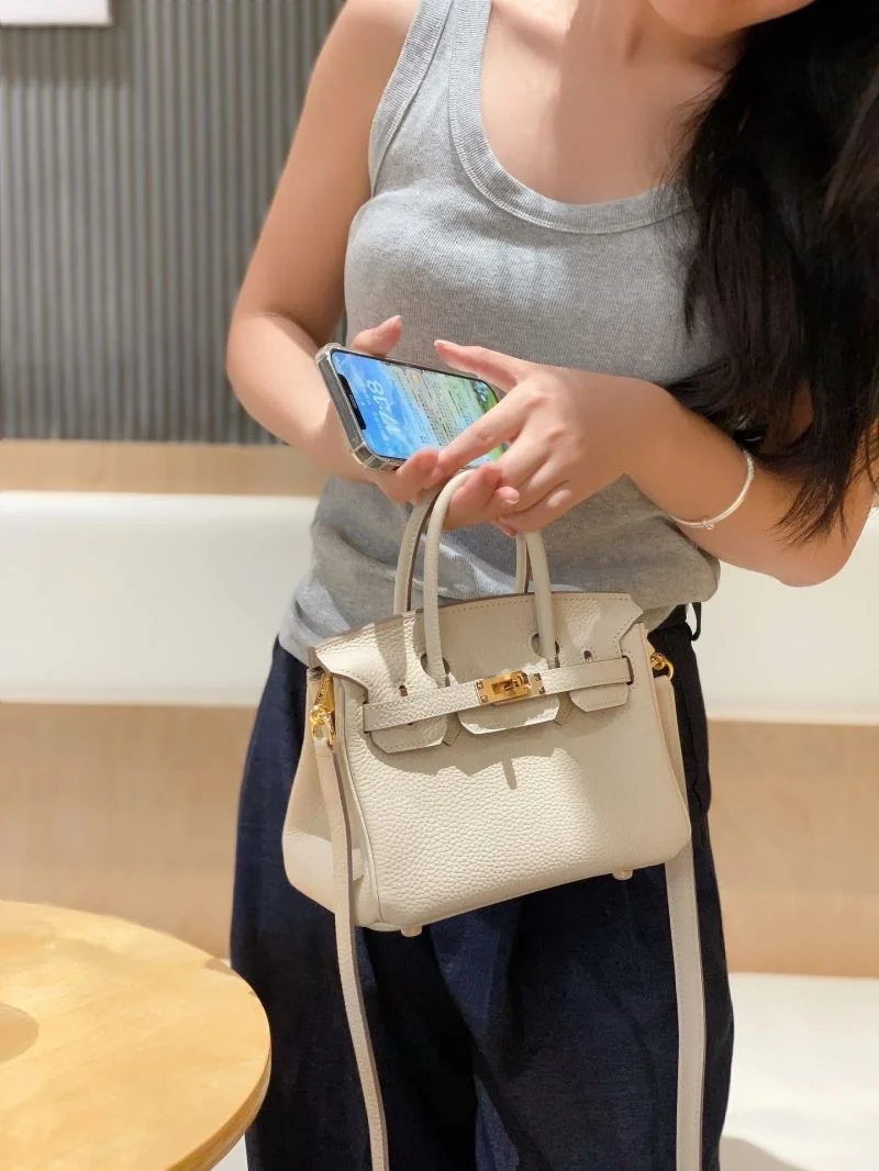 Hermes Birkin Bags Bright 48497