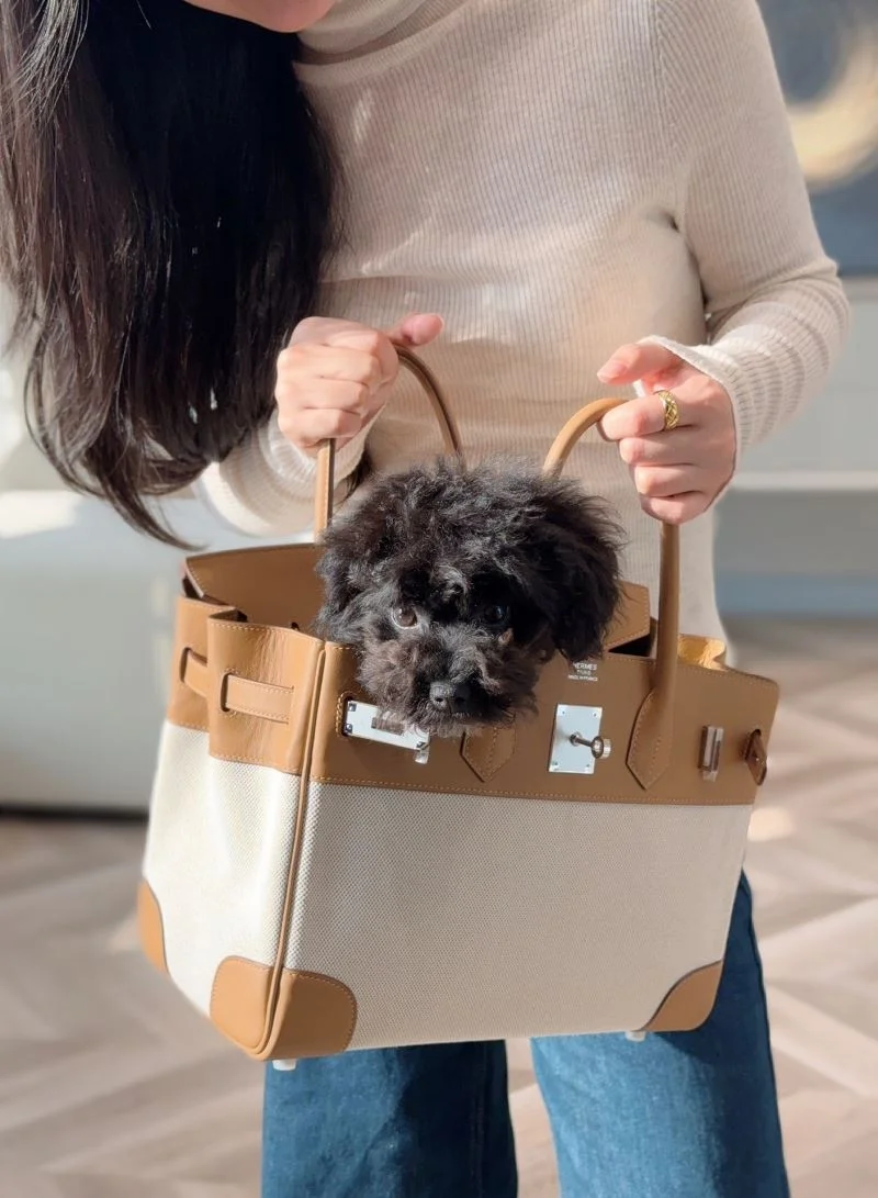 HighQuality Hermes Birkin Bags 48469
