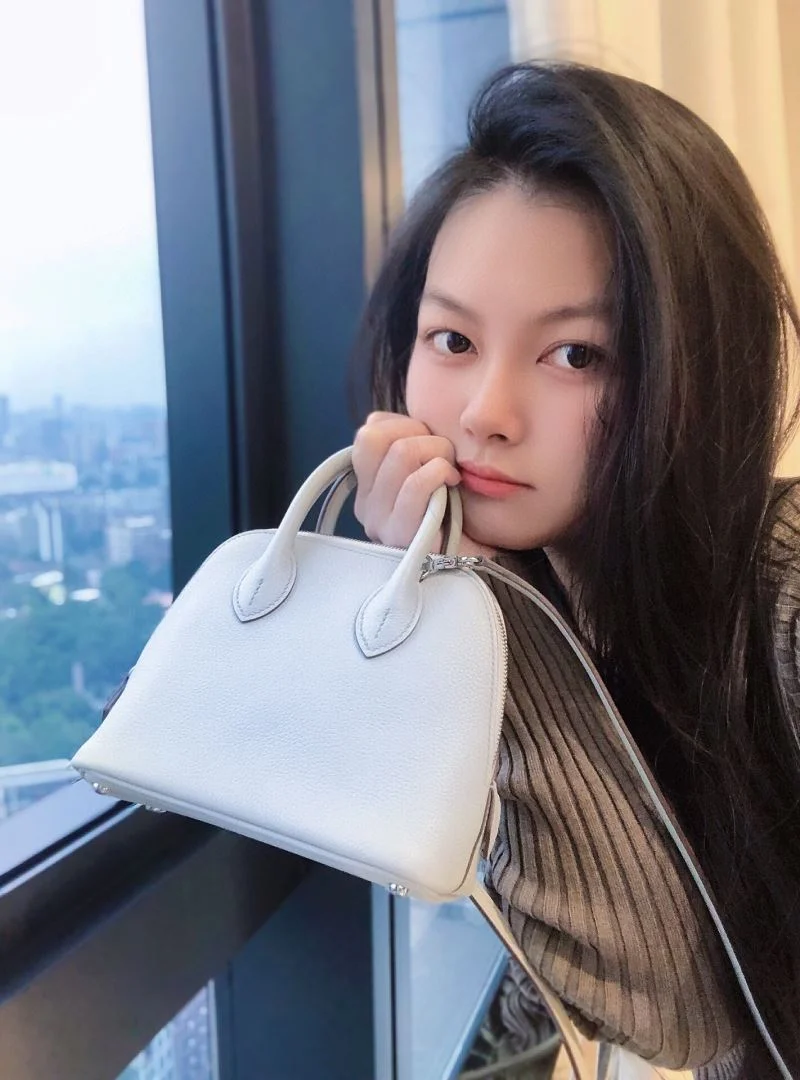SoftTouch Hermes Bolide Bags 48895