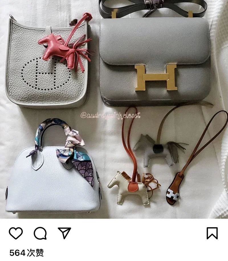 Hermes Constance Bags Elegant 48871