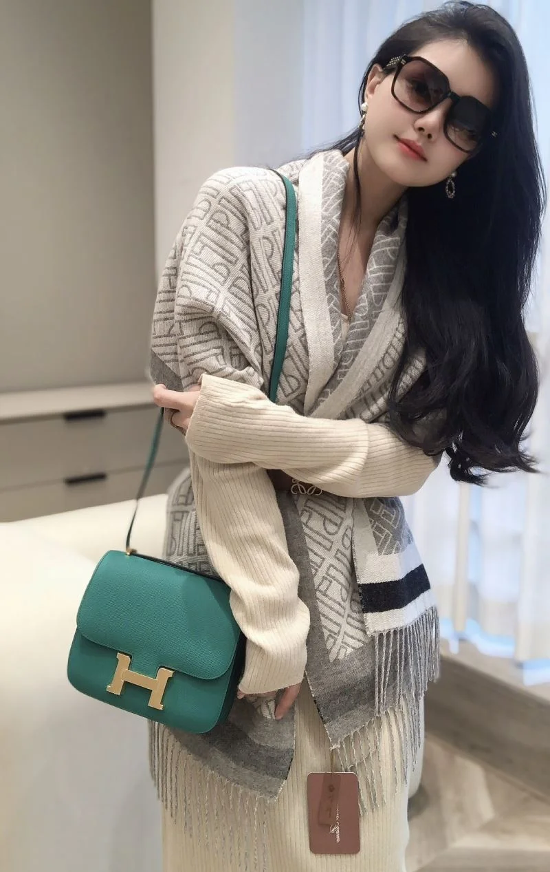 Hermes Constance Bags Classic 48869