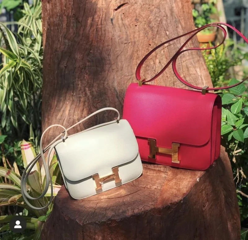 Hermes Constance Bags Timeless 48423