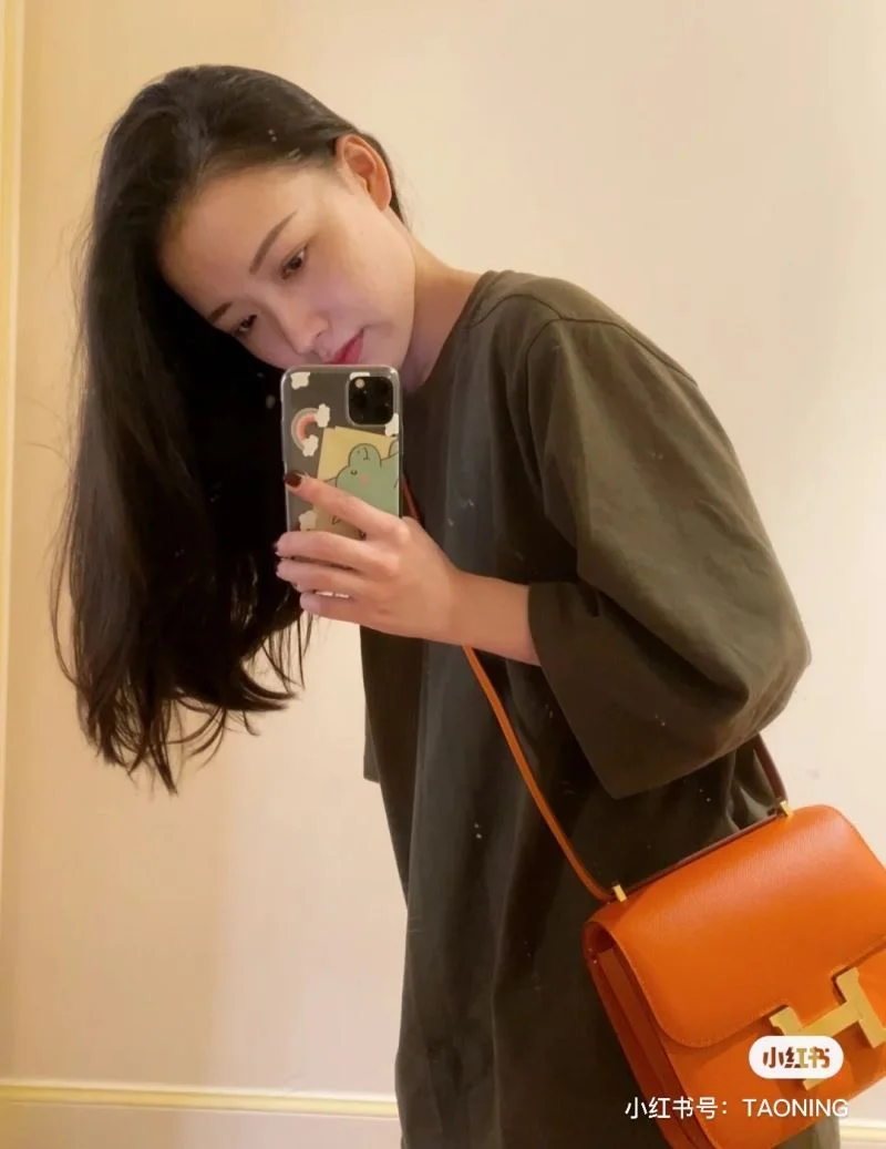 Hermes Constance Bags Compact 48416