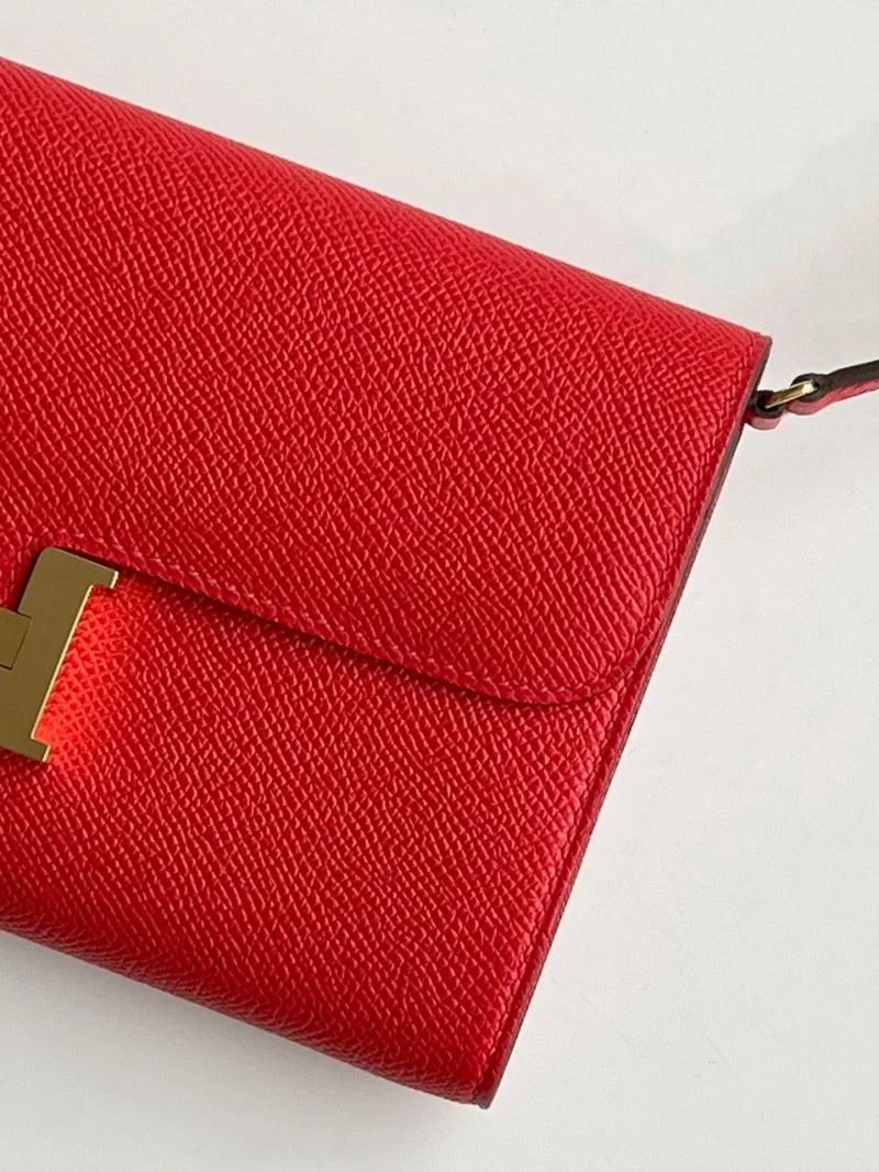 Hermes Constance Bags Vibrant 48394