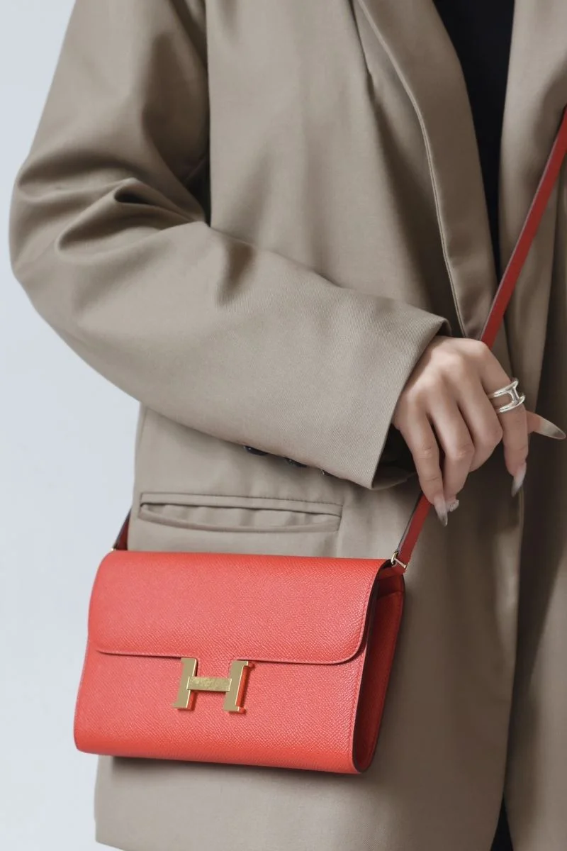 Hermes Constance Bags Vibrant 48394