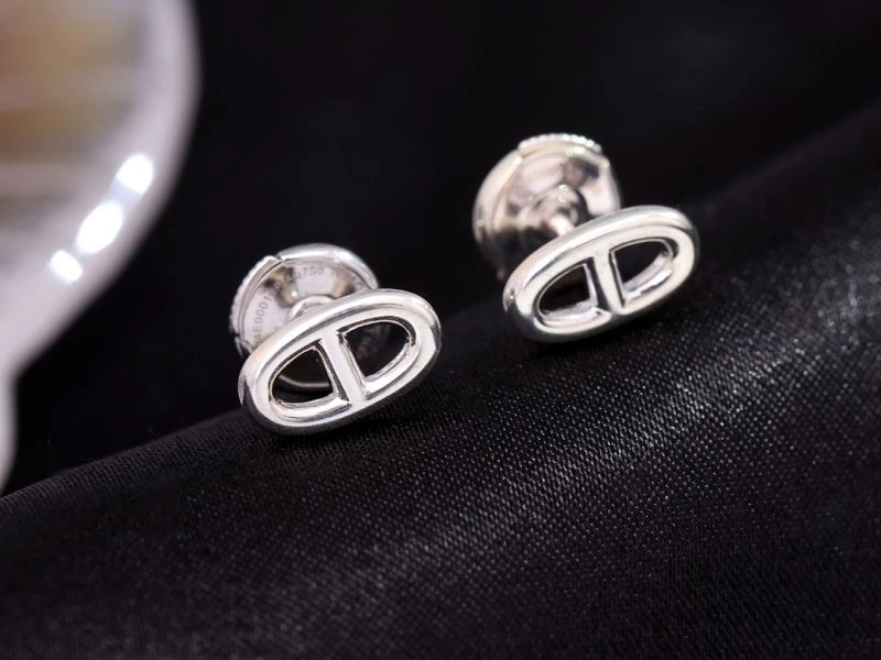 Lightweight Hermes Earrings 247440