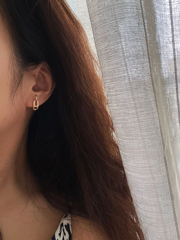 Hermes Earrings Efficient 247581