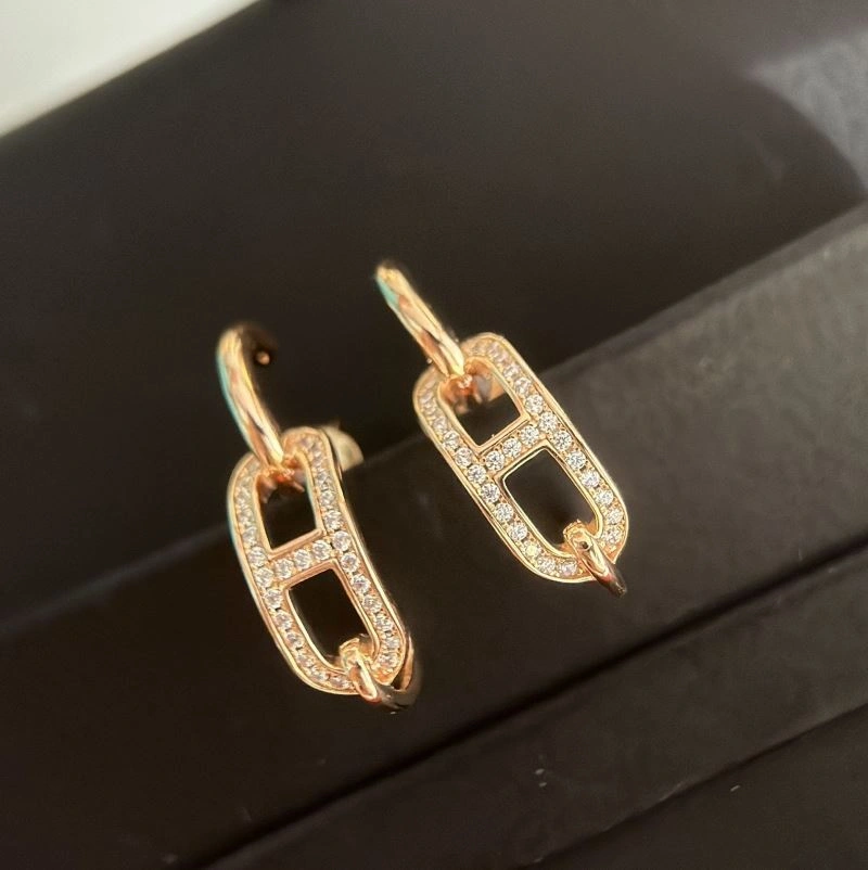 Hermes Earrings Efficient 247581